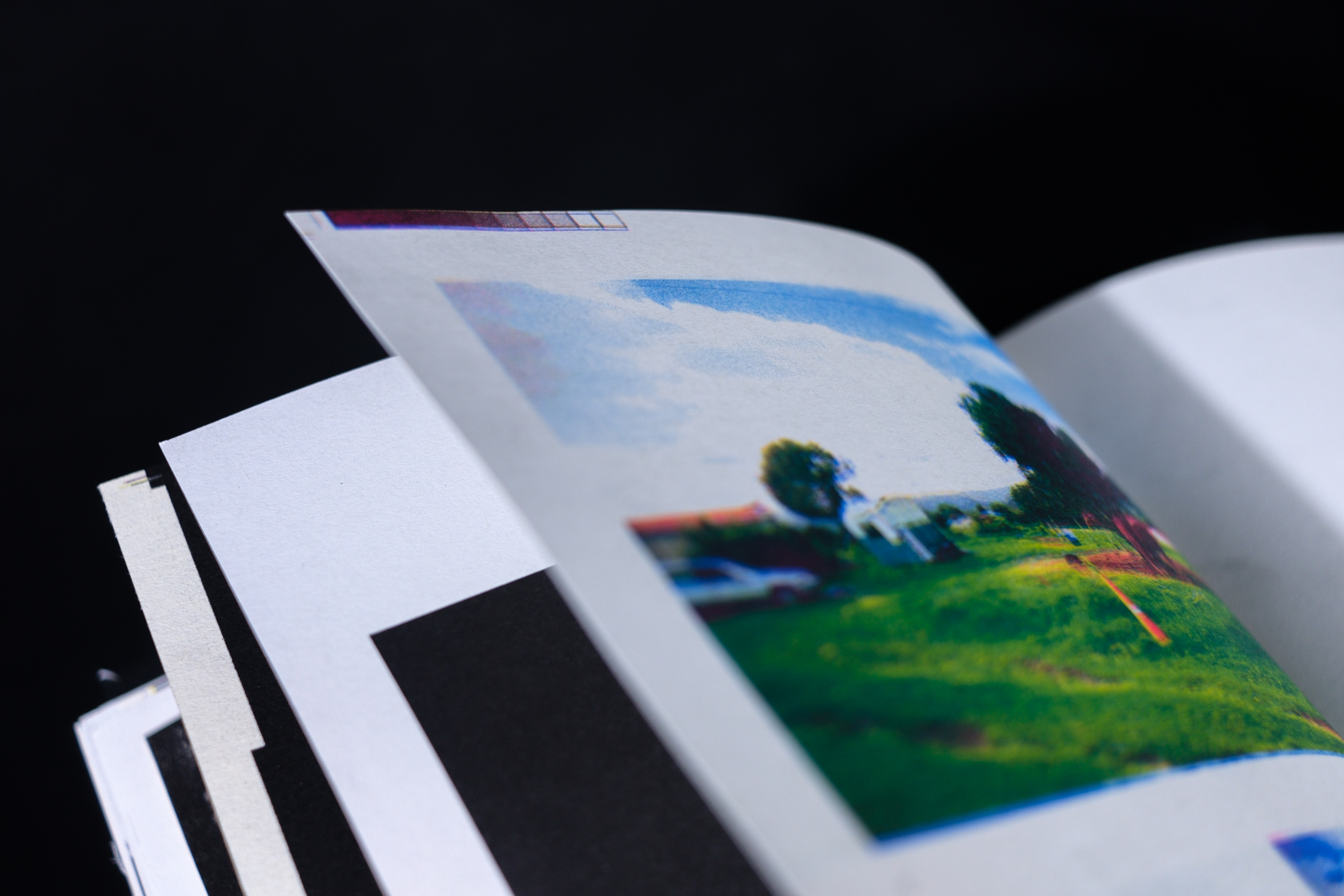 Finding Kuku field photograph 201518