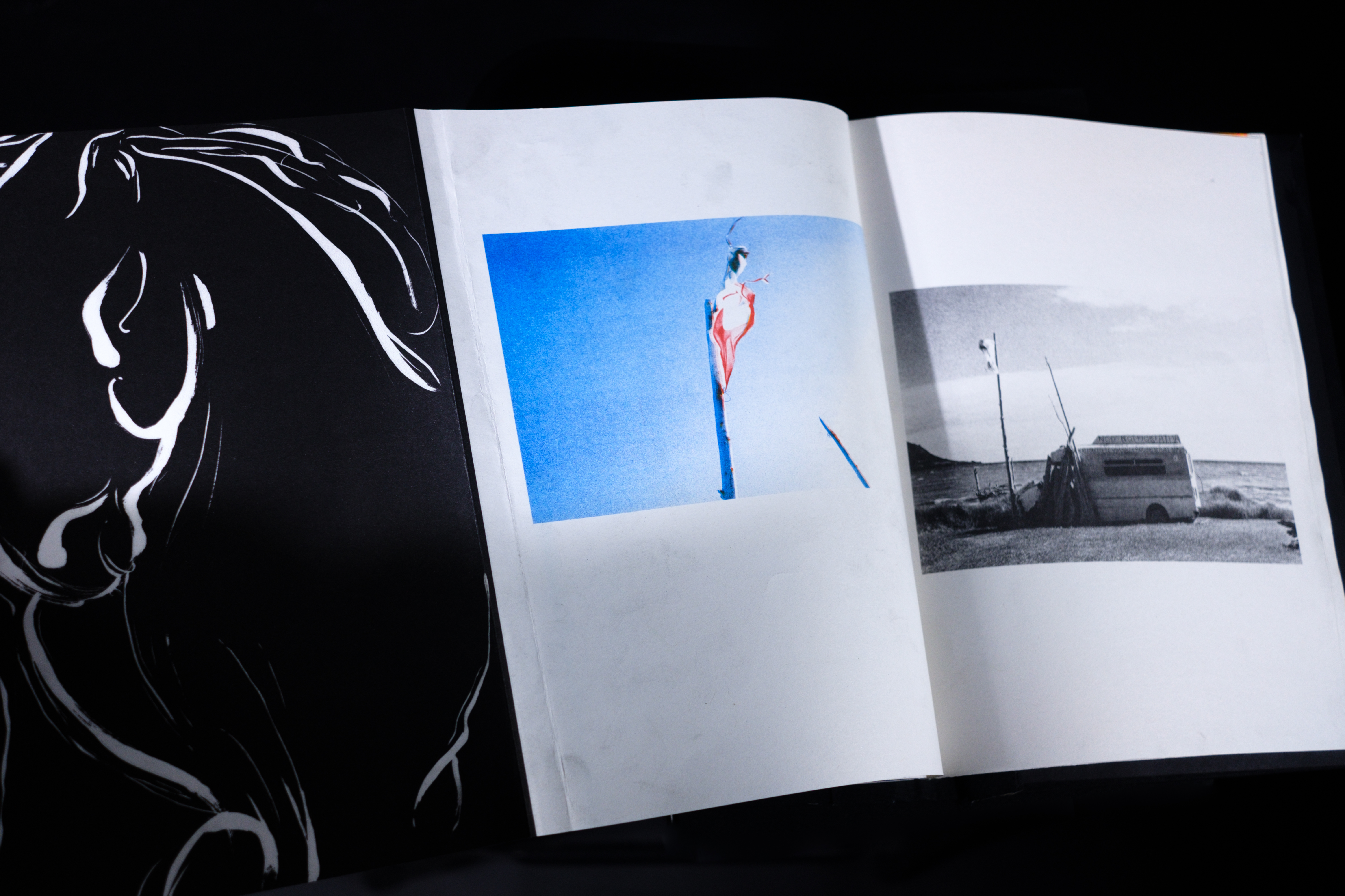 Finding Kuku field photograph 201546