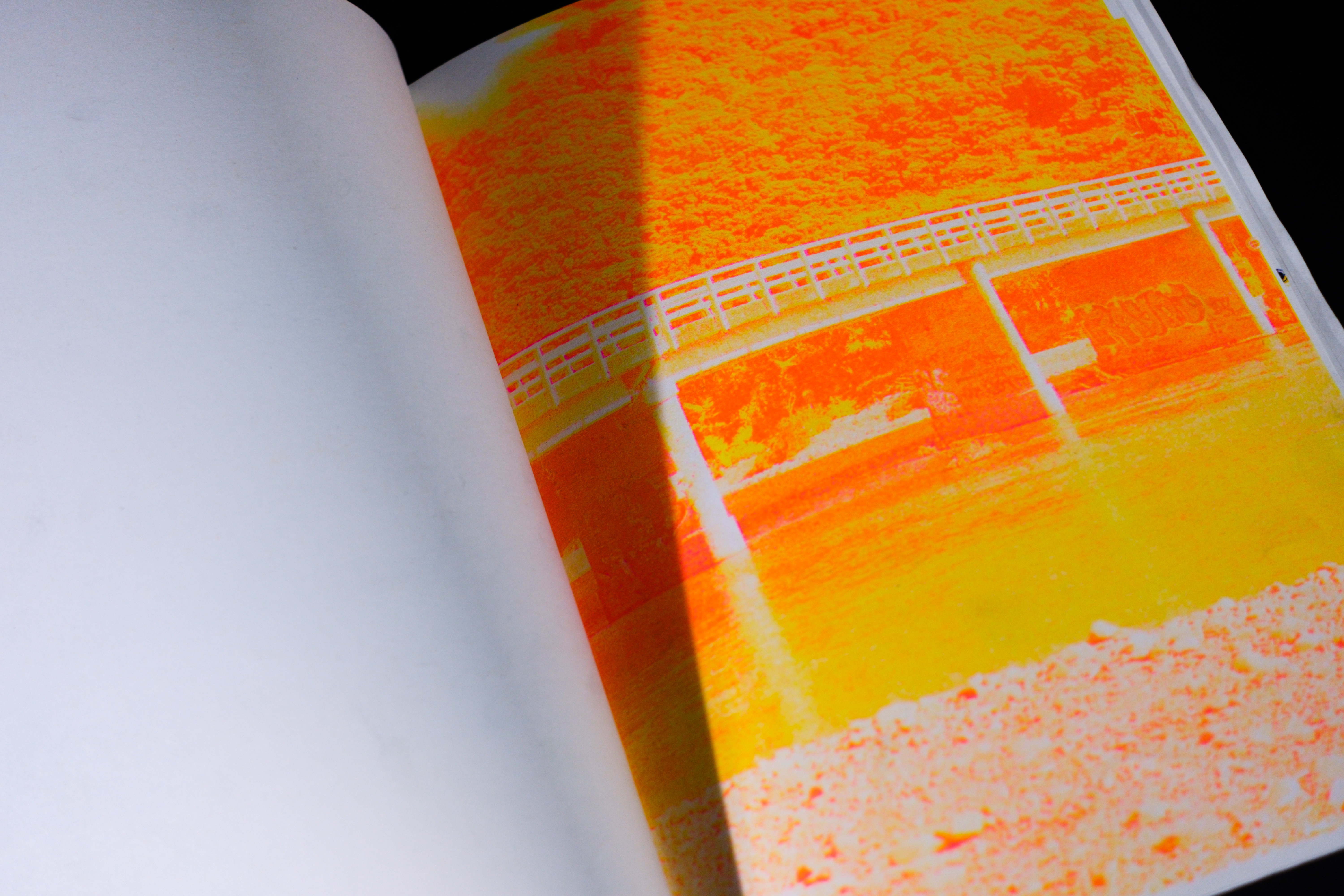 Finding Kuku field photograph 201557